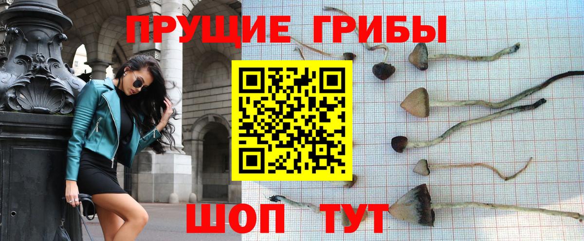 Галлюциногенные грибы MAGIC MUSHROOMS  Вход с VPN  Добрянка 